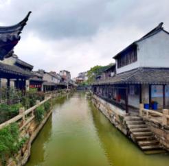 虫虫助手下载